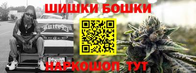 гашик Дубна