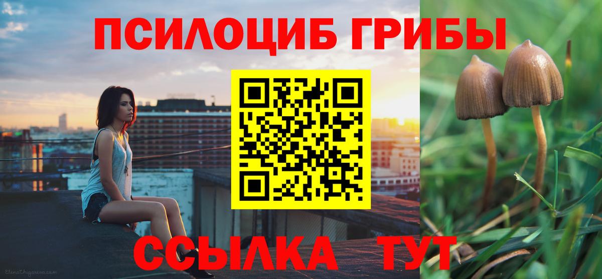 Лыткарино  Псилоцибиновые грибы Magic Shrooms  Вход с VPN 